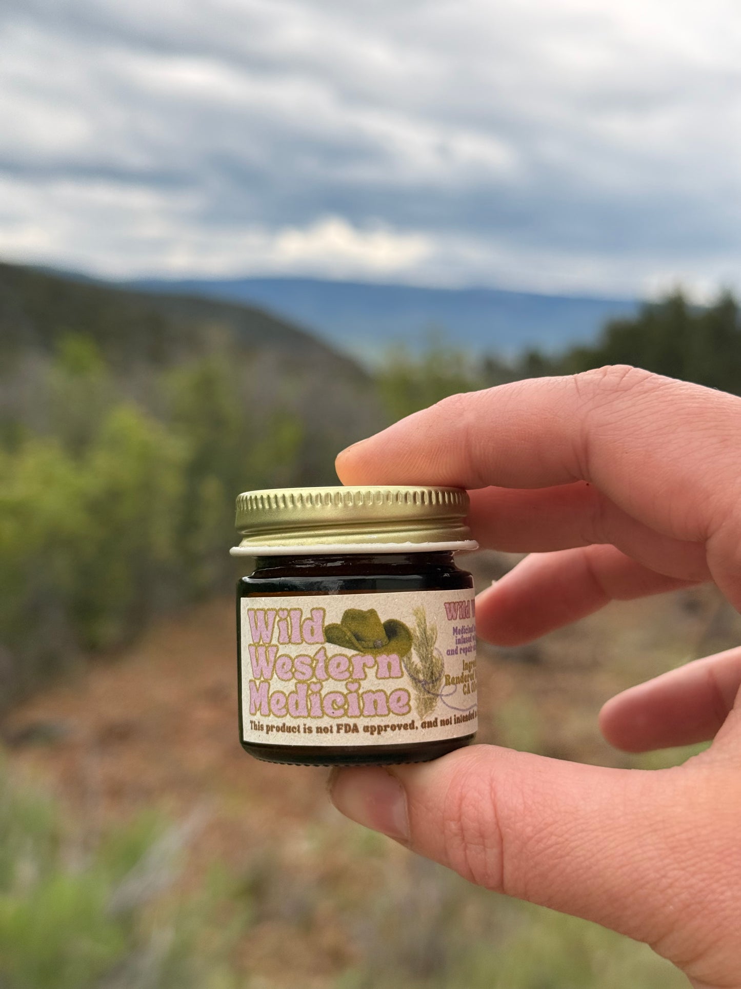 Wild Western Medicine Salve